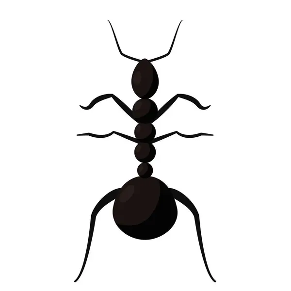 Μεμονωμένο Χρωματισμένο Μυρμήγκι Ζώο Εικονίδιο Διάνυσμα Εικόνα — Διανυσματικό Αρχείο