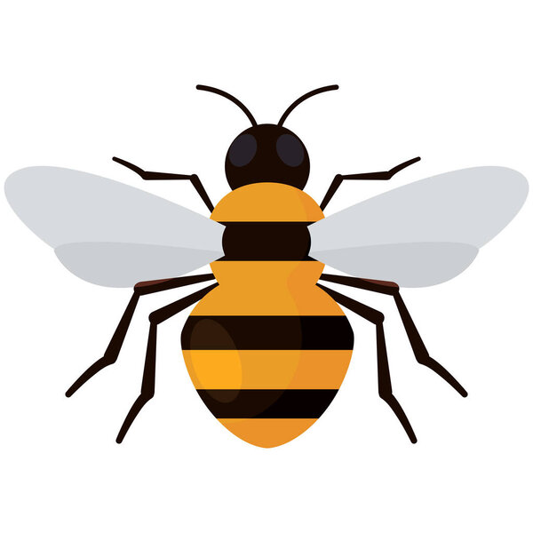 Isolated colored bee insect animal icon Vector illustration