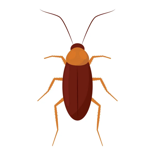 Isolé Couleur Cafard Insecte Animal Icône Illustration Vectorielle — Image vectorielle