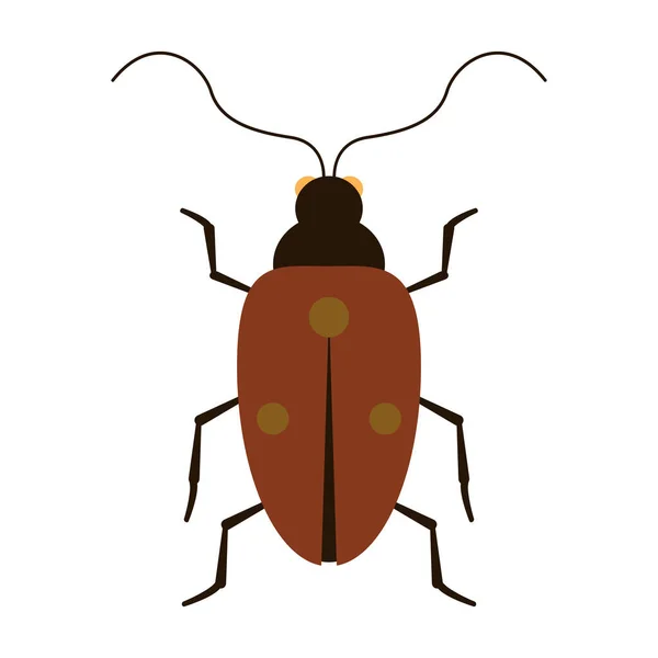 Izolovaná Barevná Ikona Hmyzu Berušky Vektorová Ilustrace — Stockový vektor