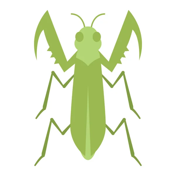 Izolované Barevné Kobylky Hmyzu Ikona Zvířat Vektorové Ilustrace — Stockový vektor