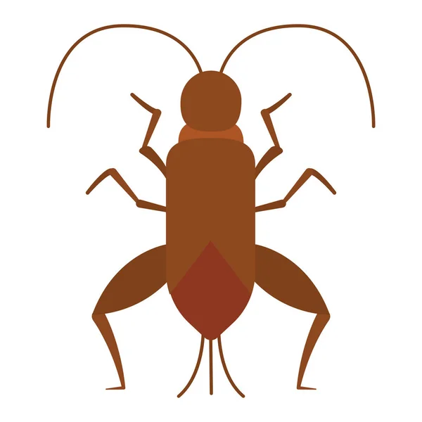 Izolovaný Barevný Šváb Hmyz Ikona Zvíře Vektorové Ilustrace — Stockový vektor