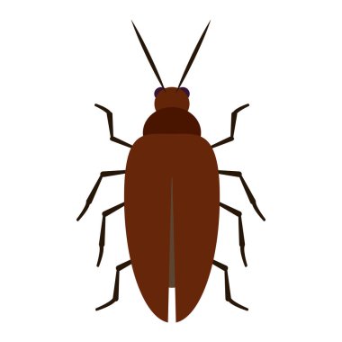İzole edilmiş renkli hamamböceği böcek hayvan simgesi Vektör illüstrasyonu