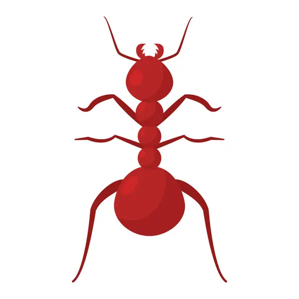 Geïsoleerde Gekleurde Mier Insect Dier Pictogram Vector Illustratie — Stockvector