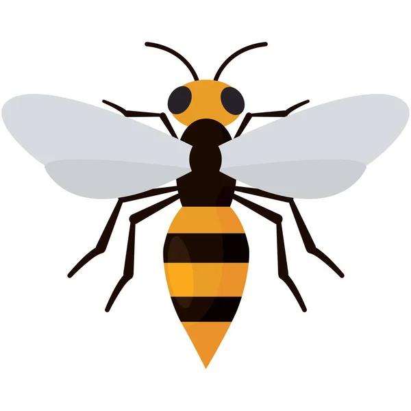 Geïsoleerde Gekleurde Wesp Insect Dier Pictogram Vector Illustratie — Stockvector