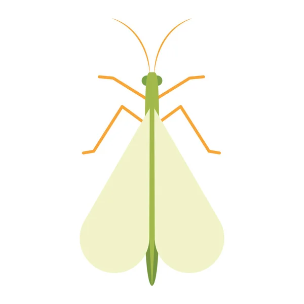 Isolierte Farbige Grasshooper Insekt Tier Symbol Vector Illustration — Stockvektor