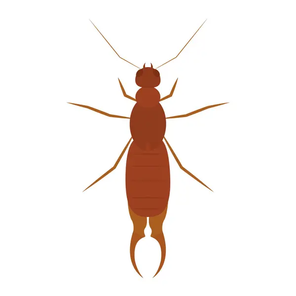 Izolovaná Barevná Ikona Mravenčího Hmyzu Vektorová Ilustrace — Stockový vektor