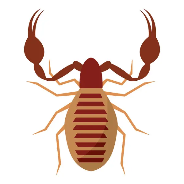 Izolovaná Barevná Ikona Hmyzu Škorpióna Vektorová Ilustrace — Stockový vektor