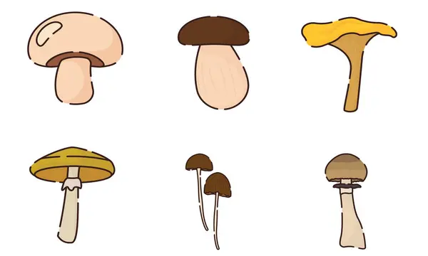 Sert Different Colored Mushroom Icons Ilustração Vetorial —  Vetores de Stock