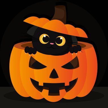 Tatlı siyah kedi, ürkütücü balkabağı Cadılar Bayramı Vektörü illüstrasyonunda