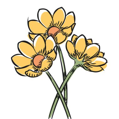 Çiçek Vektörü illüstrasyonunun suluboya çizimi