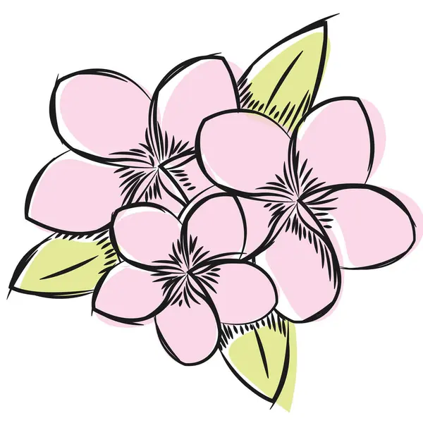 Υδατογραφία Σκίτσο Ενός Εικονογράφηση Διάνυσμα Λουλούδι — Διανυσματικό Αρχείο