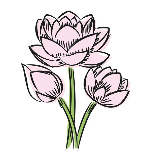 Υδατογραφία Σκίτσο Ενός Εικονογράφηση Διάνυσμα Λουλούδι — Διανυσματικό Αρχείο