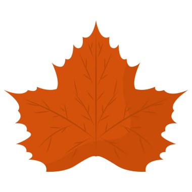 İzole edilmiş sonbahar yaprağı simgesi Vektör illüstrasyonuName
