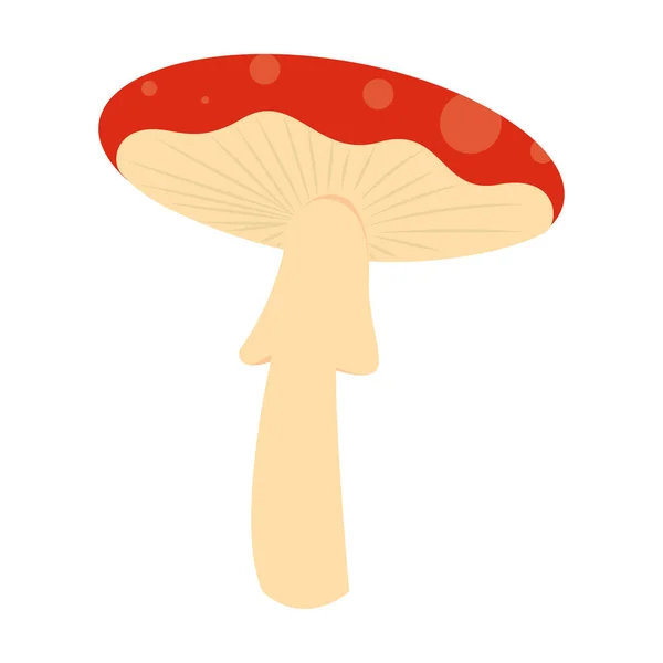 Isolated Colored Autumn Mushroom Icon Vector Illustration — Stock Vector