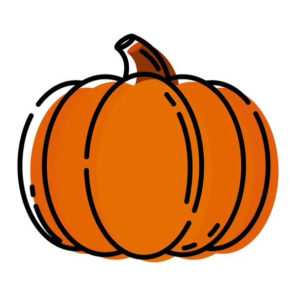 Izolované Barevné Podzimní Dýně Ikona Náčrtek Vektorové Ilustrace — Stockový vektor