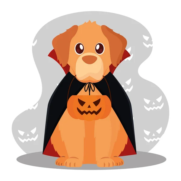 Geïsoleerde Schattige Hond Met Een Vampier Kostuum Vector Illustratie — Stockvector