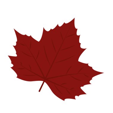 İzole edilmiş renkli deniz yaprağı simgesi Vektör illüstrasyonu