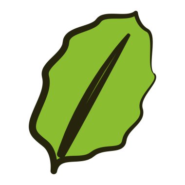 İzole edilmiş ıspanak yaprağı simgesi Düz Tasarım Vektörü illüstrasyonu