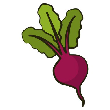 İzole edilmiş turp simgesi Düz Tasarım Vektörü illüstrasyonu