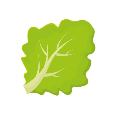 İzole edilmiş ıspanak yassı tasarım ikonu Vektör illüstrasyonu