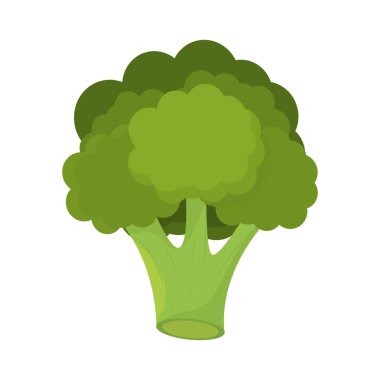 İzole brokoli yassı tasarım simgesi Vektör illüstrasyonu