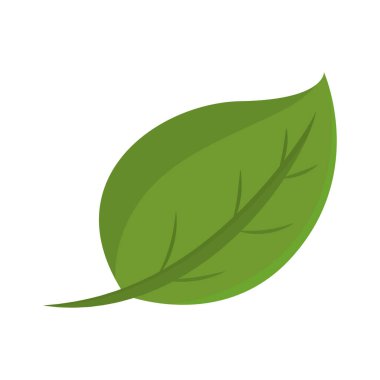 Isolated green leaf icon image Vector illustration