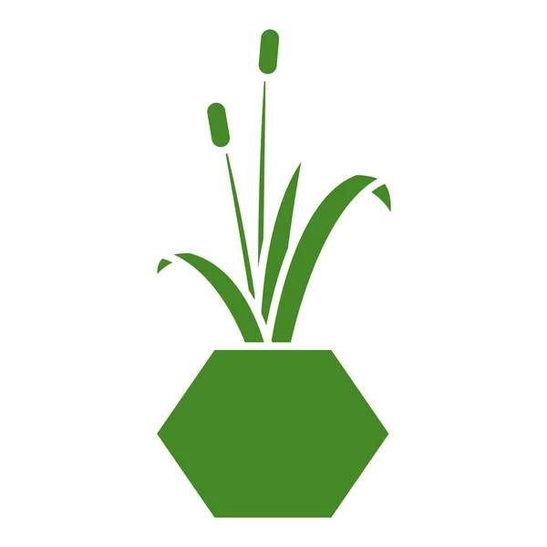 孤立的绿色轮廓室内植物图标矢量插图 — 图库矢量图片