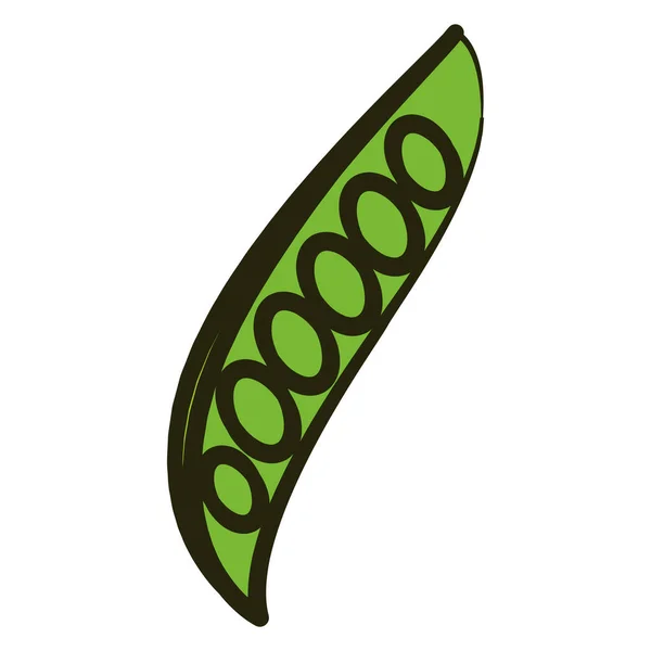 Izolovaná Ikona Zelené Fazole Plochý Design Vektorové Ilustrace — Stockový vektor