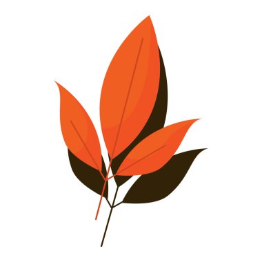 İzole edilmiş sonbahar yaprağı simgesi Düz Stil Vektör illüstrasyonu