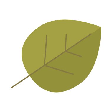 İzole edilmiş sonbahar yaprağı simgesi Vektör illüstrasyonuName