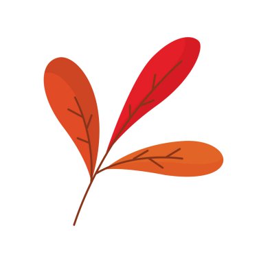 İzole edilmiş sonbahar yaprağı simgesi Vektör illüstrasyonuName