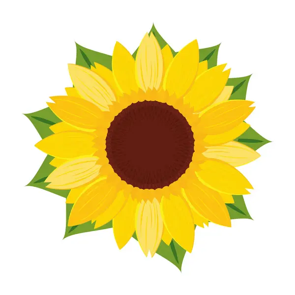 Colored sunflower Cute flower spring season Vector illustration