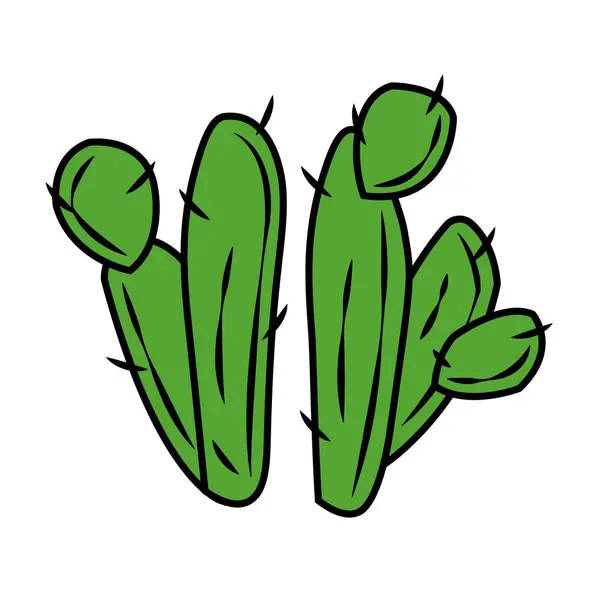Isolated Green Cactus Icon Flat Design Vector Illustration — Stock Vector
