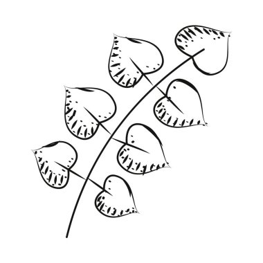 Yaprak taslak ikonu Vektör illüstrasyonuName