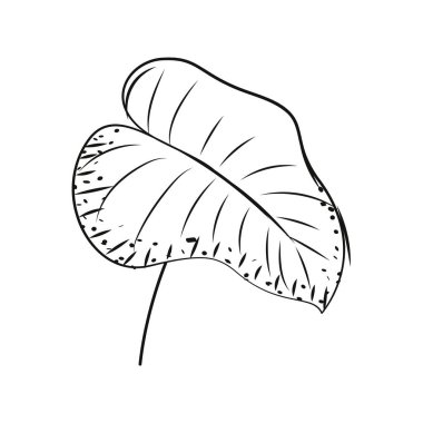 Yaprak taslak ikonu Vektör illüstrasyonuName