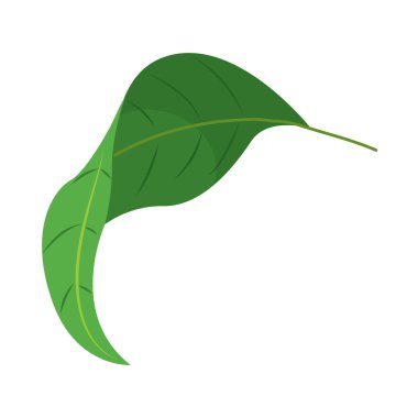 Yaprak Vektörü illüstrasyonunun renkli simgesi