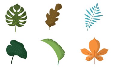 Renkli Yaprak Simgeleri Vektör illüstrasyonunu Ayarladı