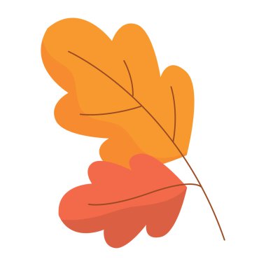 Ilık turuncu ve kırmızı tonlarda iki canlı sonbahar yaprağı, sonbahar tasarımları için mükemmel, Vektör çizimi