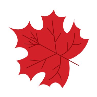 Ilık turuncu ve kırmızı tonlarda iki canlı sonbahar yaprağı, sonbahar tasarımları için mükemmel, Vektör çizimi