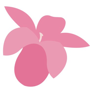 İzole edilmiş pembe çiçek çizim ikonu illüstrasyonu