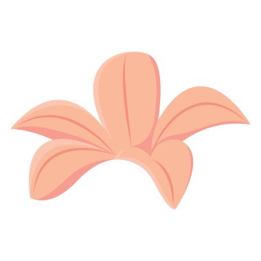 Şeftali renkli zambak çiçeği. Vektör illüstrasyonu