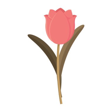 Düz pembe lale. Vektör illüstrasyonu