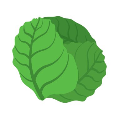 Yeşil marul yaprağı ikonu. Vektör illüstrasyonu