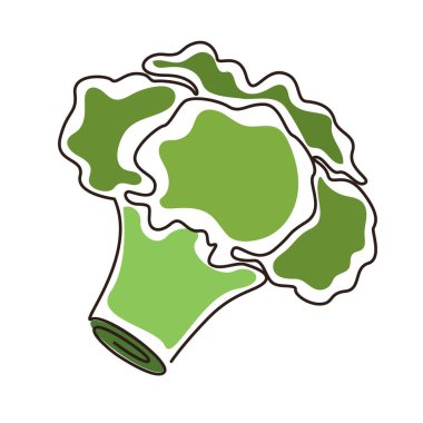 Brokoli sebze ikonu. Vektör illüstrasyonu