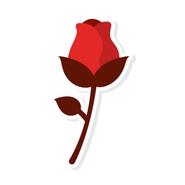 Romantik kırmızı gül çiçek açar. Vektör illüstrasyonu