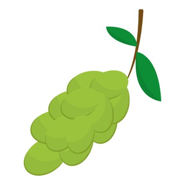 Yeşil üzümlü çizgi film. Vektör illüstrasyonu