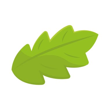 Basit tropik yeşil yaprak. Vektör illüstrasyonu