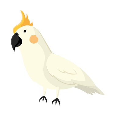 Şirin papağan. Vektör illüstrasyonu