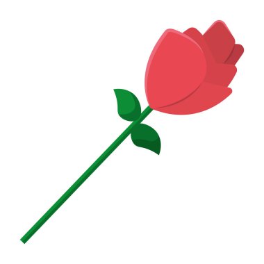 Tek kırmızı gül çiçeği. Vektör illüstrasyonu